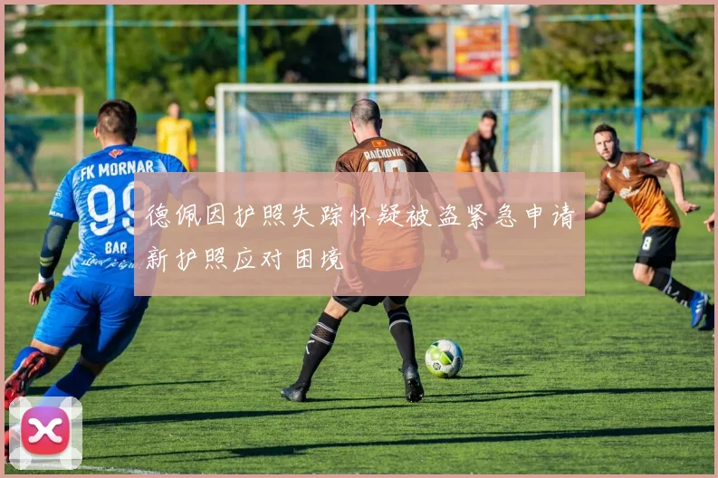 德佩因护照失踪怀疑被盗紧急申请新护照应对困境