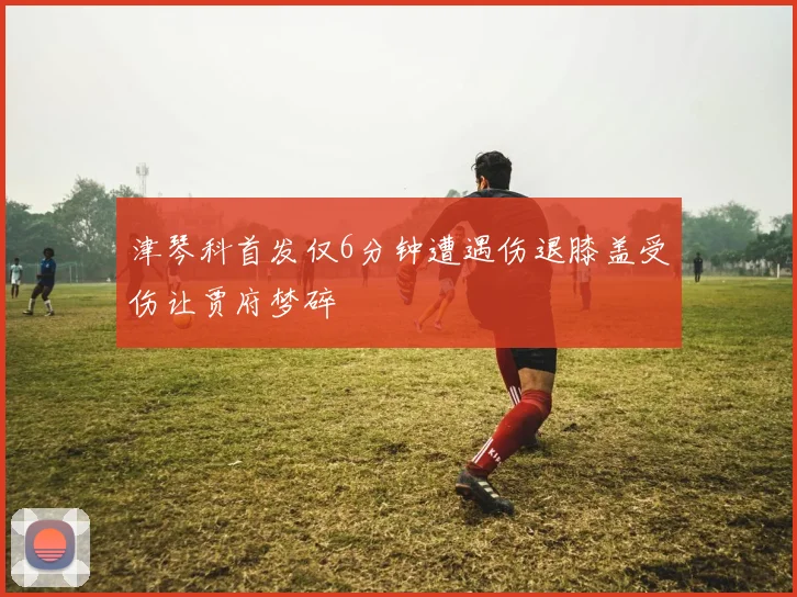 津琴科首发仅6分钟遭遇伤退膝盖受伤让贾府梦碎
