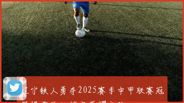 辽宁铁人勇夺2025赛季中甲联赛冠军提前两轮锁定荣耀之路