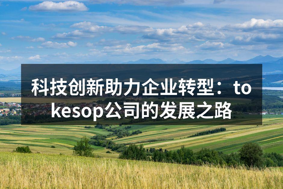 科技创新助力企业转型：tokesop公司的发展之路